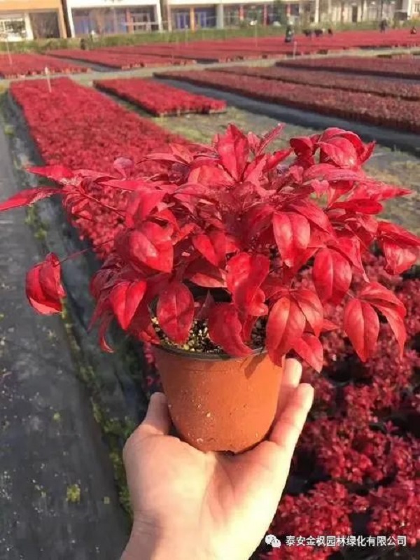 微信圖片_20220723161414