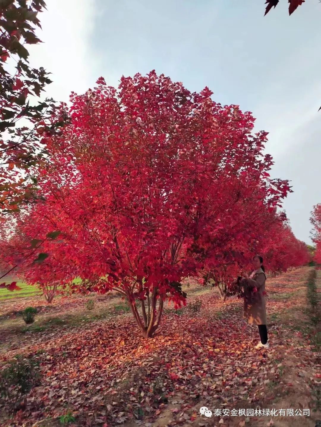 微信圖片_20230130102334 微信圖片_20230130102334